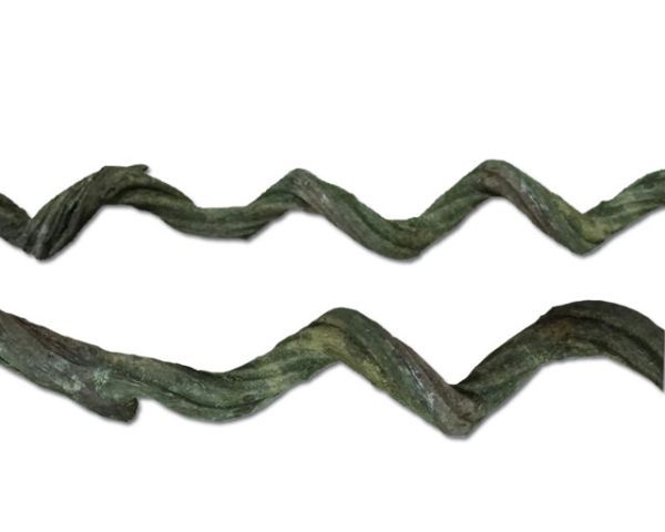 Liane ca. 100 cm (gedreht/geschwungen), Ø ca. 2,5–5 cm – natürliche Terrarium‑Deko, Kletter‑/Ansitzast