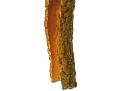 Terrarium Deko – Zierkork Rinde rund – Korkröhren Ø ca. 5–15 cm, L ca. 20–100 cm, Kiloware