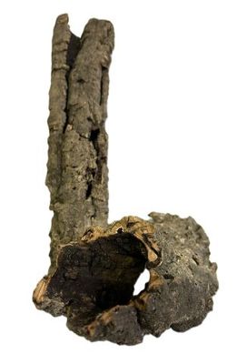 Zierkork Rinde rund – Korkröhren Ø ca. 5–10 cm, L ca. 20–100 cm, Kiloware – Terrarium Deko/Versteck