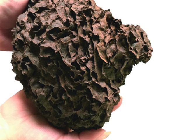 Terrarium Dekoration – Baumtermiten‑Nest, holzartig, Versteck &amp; Kletterstruktur