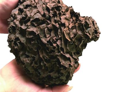 Terrarium Dekoration – Baumtermiten‑Nest, holzartig, Versteck &amp; Kletterstruktur