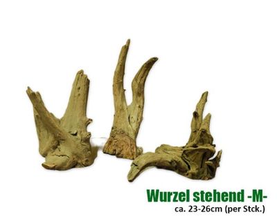 Terrarium Deko – Stehende Echtholz‑Wurzel M, ca. 23–26 cm Höhe (Einzelstück)