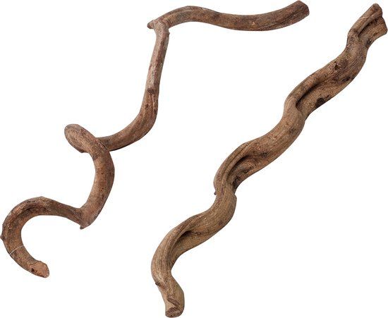 Natürliche Liane klein – ca. 75 cm, Terrarium‑Deko für Reptilien (1 Stück), nicht aquarientauglich