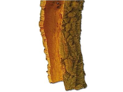 Terrarium Deko – Zierkork Rinde rund – Korkröhren Ø ca. 10–20 cm, L ca. 20–100 cm, Kiloware