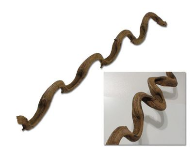 Natürliche Liane klein – ca. 75 cm, Terrarium‑Deko für Reptilien (1 Stück), nicht aquarientauglich