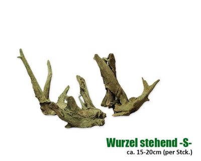 Terrarium Deko – Stehende Echtholz‑Wurzel S, ca. 15–20 cm Höhe (Einzelstück)