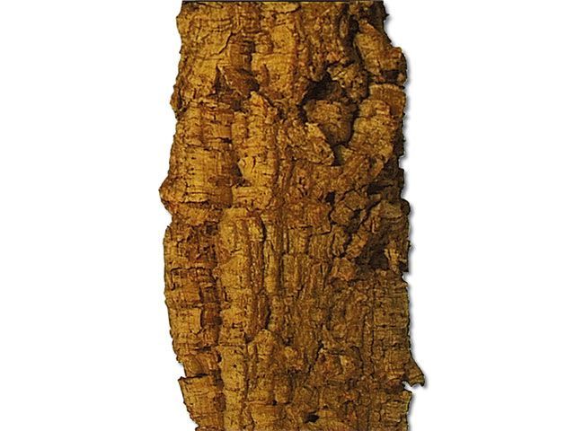 Zierkork Rinde natur, flach – Kiloware – Terrarium/Paludarium/Aquaflorarium Deko, zuschneidbar &amp; feuchtebeständig