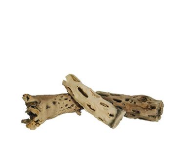 Terrarium Deko – Vuka Holz XS, ca. 10–30 cm, natürlicher Kletter‑/Ansitzast, Unikat