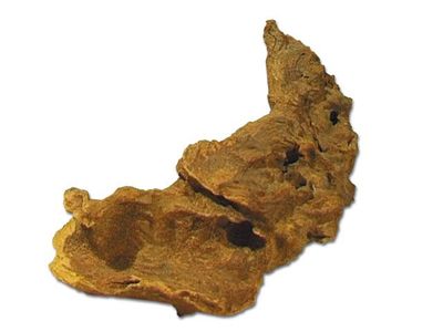 Savannenholz – Terrarium‑Deko per kg, schweres Wurzelholz, natürliche Struktur &amp; Kletteräste