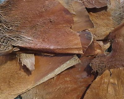 Palmenrinde natürlich – 250 g, Terrarium‑Deko, Struktur &amp; Versteck, Naturprodukt