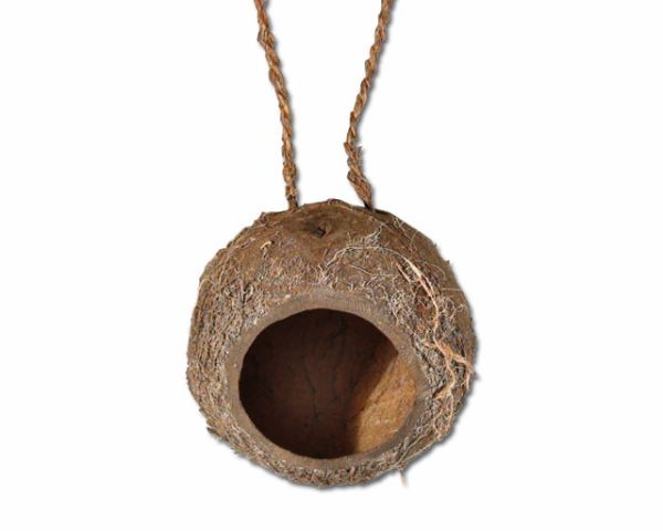 Terrium Deko - Kokosnuss voll – 1 Loch, natürliche Terrarium‑Deko, Versteck/Höhle (Einzelstück)