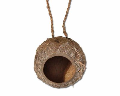 Terrium Deko - Kokosnuss voll – 1 Loch, natürliche Terrarium‑Deko, Versteck/Höhle (Einzelstück)