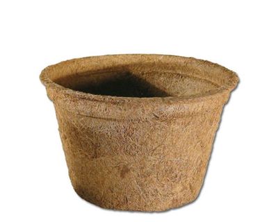 Kokos Pflanztopf 2,0 L – 19 x 14 x 12 cm, natürliche Terrarium‑Deko für Bepflanzung