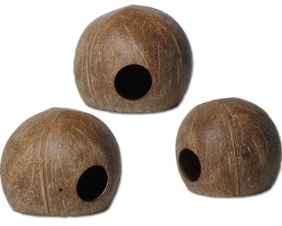 Kokosnuss 3/4 mit Loch (rasiert) – natürliche Terrarium‑Deko, Versteck/Höhle, Pflanzschale