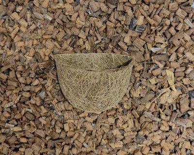 Kokos Pflanztopf Hängekorb halbrund – 8 x 12 cm, natürliche Terrarium‑Deko für Begrünung