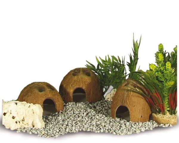 Kokosnuss‑Schale halb – natürliche Terrarium‑Deko, Versteck für Reptilien, Amphibien, Fische, Spinnen &amp; Skorpione