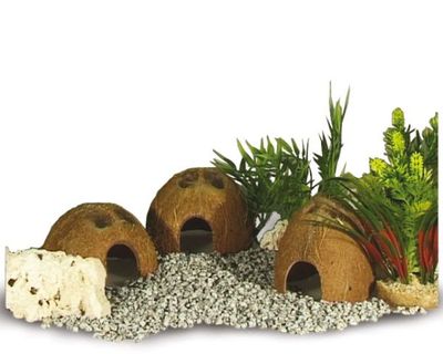 Kokosnuss‑Schale halb – natürliche Terrarium‑Deko, Versteck für Reptilien, Amphibien, Fische, Spinnen &amp; Skorpione