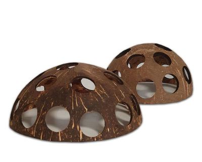 Kokosnuss ca. 10–13 cm – natürliche Terrarium‑Dekoration, Versteck/Schale, Naturprodukt