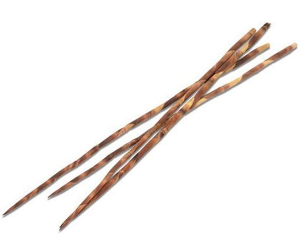 Steppen‑Schilf 80–110 cm – natürliche Terrarium‑Deko, Struktur &amp; Sichtschutz, Naturprodukt
