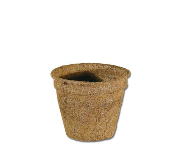 Kokos Pflanztopf 0,5 L – 12 x 10 x 8 cm (DM oben x H x DM unten), natürliche Terrarium‑Deko