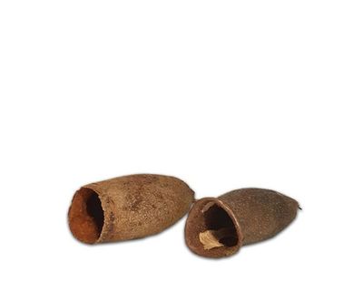 Natürliche Deko‑Schote (mittel) 8–11 cm – Terrarium‑Dekoration, Versteck/Schale, Naturprodukt