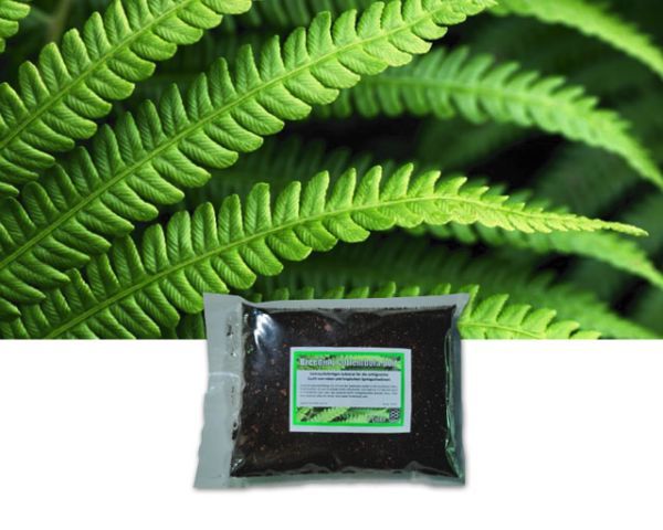 Breeding Collembola Soil 1 Liter – Bodengrund für Terrarium