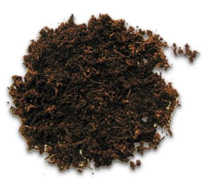 Terrarium Terrano Forest 4 l HOBBY – feuchtigkeitspeicherndes Bodensubstrat für Wald- und Regenwaldbewohner