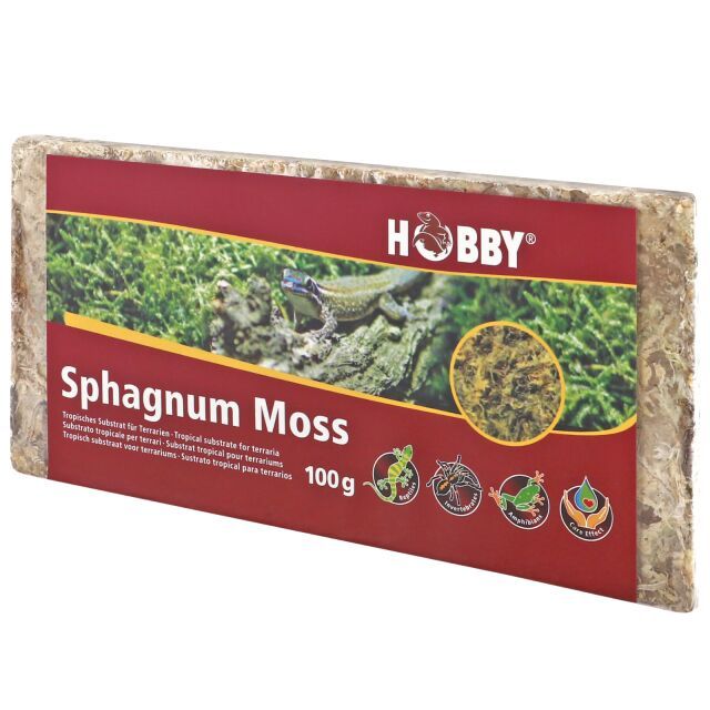 Sphagnum Terrarium Moss 100 g – natürliches, feuchtigkeitsspendendes Moos