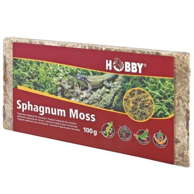 Sphagnum Terrarium Moss 100 g – natürliches, feuchtigkeitsspendendes Moos