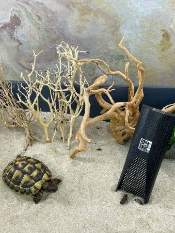 Terrarium Sandsieb Koty®Kotsieb S Kunststoff – feines Sieb für sauberen Bodengrund