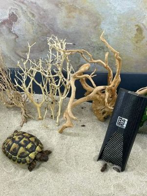 Terrarium Sandsieb Koty®Kotsieb S Kunststoff – feines Sieb für sauberen Bodengrund