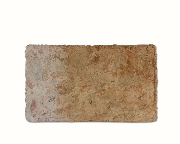 Sphagnum Moos gepresst 100g Neuseeland – ca. 8 Liter feuchtigkeitsspeicherndes Moos