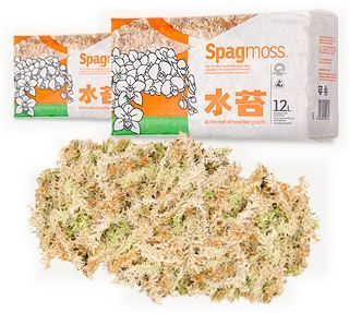 Sphagnum Moos gepresst 150g Neuseeland – ca. 12 Liter Classic Qualität für Terrarium