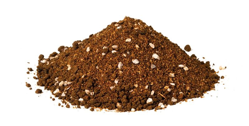 Habistat Schildkröten Einstreu für Terrarium 10 l – natürliche Mischung aus Lehm und Sand