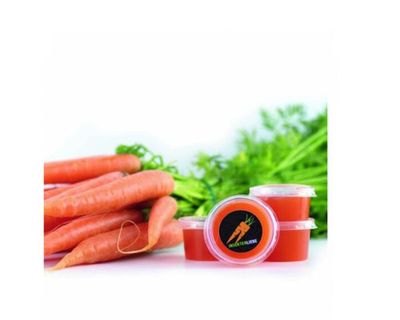 Beetle Jelly Karotte 30 ml – Natürliches Vitamin- und Fruchtgelee, ideal für Käfer, Geckos &amp; Futterinsekten.