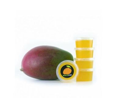 Beetle Jelly Mango 30 ml – Natürliches Vitamin- und Fruchtgelee, ideal für Käfer, Geckos &amp; Futterinsekten.