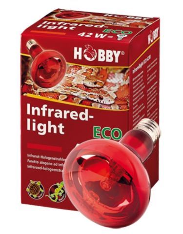 Infraredlight Eco 42 W HOBBY – Energiesparender Infrarot-Halogenstrahler für nachtaktive Terrarientiere