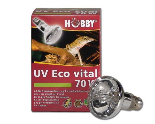 UV ECO vital 70 W HOBBY – Energiesparende Mischlichtlampe mit UV-A/B für Terrarien