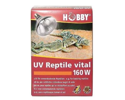UV Reptil Vital 160 Watt – UV-Strahler für Echsen und Schildkröten