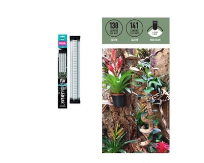 Jungle Dawn LED Bar 15 W / 290 mm – Hochleistungs-LED mit 6200K, effizienter Kühlkörper und Schutzfunktionen