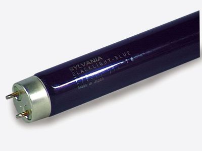 TERRA BLACK LIGHT 18 W SYLVANIA UV-Röhre Schwarzlicht T8 – 600x26 mm, G13 Fassung
