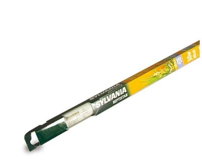 REPTISTAR 18 W T8 600 mm – Vollspektrale Leuchtstoffröhre mit 5 % UVB und 30 % UVA