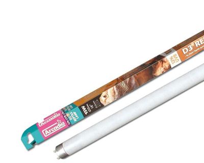 Arcadia D3+ Reptilienlampe 18 W – 12 % UVB, 60 cm T8 Lampe für flache Terrarien