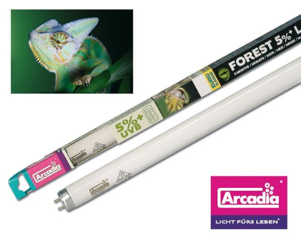Arcadia Euro-Range Forest 5 % UVB Röhre 15 W – 45 cm T8 für Waldreptilien