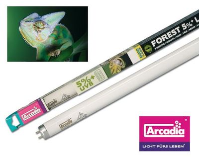 Arcadia Euro-Range Forest 5 % UVB Röhre 15 W – 45 cm T8 für Waldreptilien