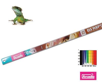 D3+ Desert T5 24 W 550 mm – 12 % UVB Reptilienlampe für Wüstenreptilien von Arcadia