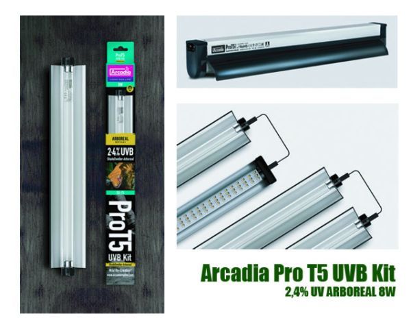 Arcadia Pro T5 Kit UVB 2,4% UVA 12% Arboreal 8 W – Komplettes UVB-Beleuchtungssystem für Baum- und Kletterreptilien