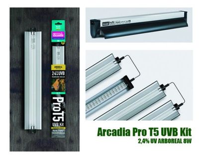 Arcadia Pro T5 Kit UVB 2,4% UVA 12% Arboreal 8 W – Komplettes UVB-Beleuchtungssystem für Baum- und Kletterreptilien