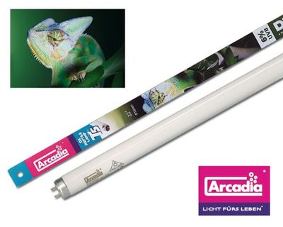 D3 Forest T5 24 W 550 mm – 6 % UVB Reptilienlampe für Waldreptilien von Arcadia