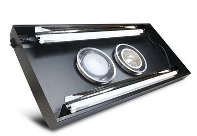 Arcadia ThermalZooPro Twin – Flexibles Heiz- und Beleuchtungssystem mit 2 Wärmequellen und ProT5/JungleDawn LED